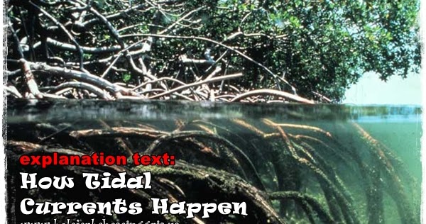 Contoh Explanation Text : How Tidal Currents Happen Contoh Explanation Text : How Tidal Currents Happen