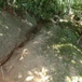 View album