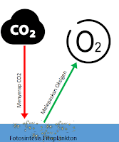 Gas Terlarut Dalam Air Laut