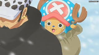 ワンピースアニメ パンクハザード編 595話 チョッパー かわいい | ONE PIECE Episode 595