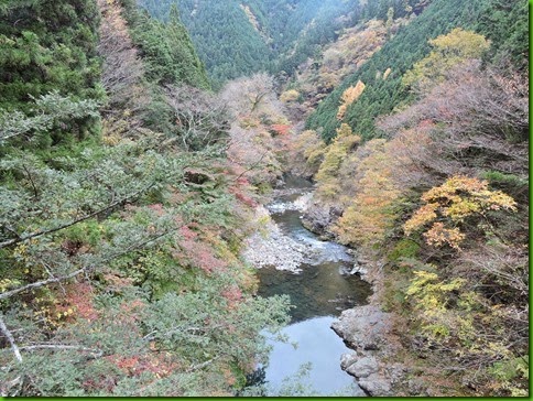 DSCN0788
