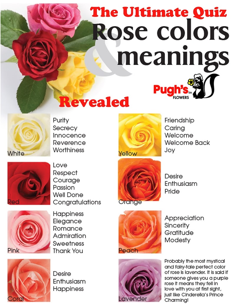 Top Inspiration 21+ Rose Flower Meaning