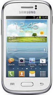 Samsung Galaxy Young S6310