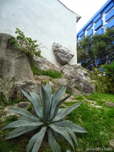 DSC04376