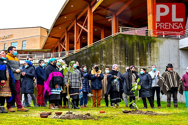 Hospital Puerto Montt habilita lugar de espiritualidad Mapuche
