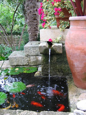 10 Fish Pond Minimalist Design