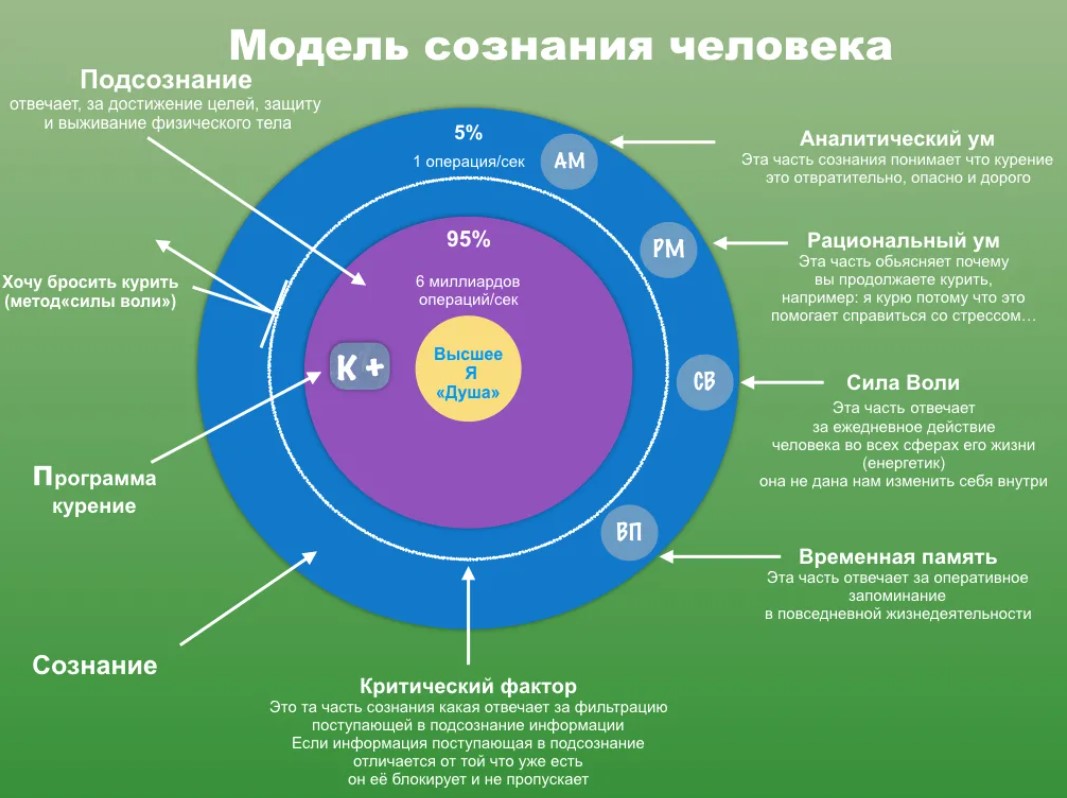 Сознание есть тест. Структура сознания и подсознания. Уровни сознания и подсознания. Сознание и подсознание. Структура подсознания человека.