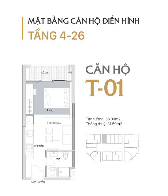 Mặt bằng căn hộ T-01 dự án D’ El Dorado Premium