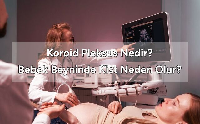 Koroid Pleksus Nedir?