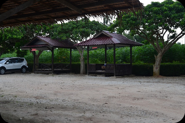 cuti2 kuala selangor rendang landak amp rusa blackpeper restoran lembah bernam 6