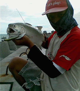 Tips Casting Ikan Kuro - ikan Senangin- Baleng-Surung