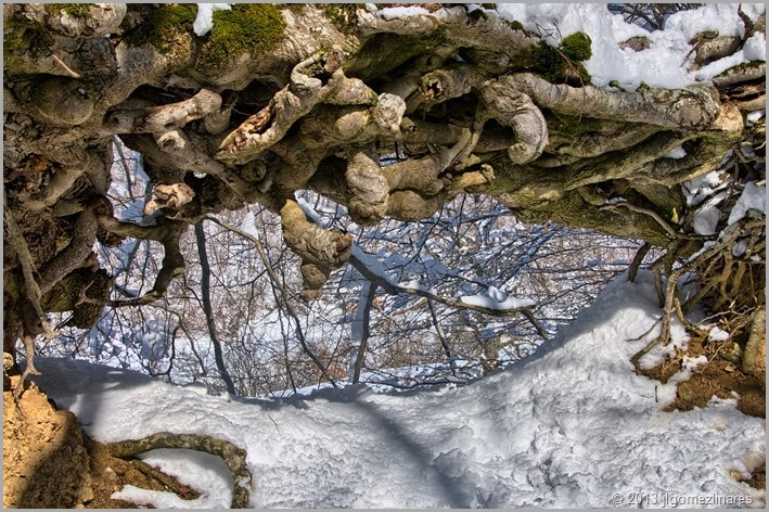 DSC_1035-HDR(3)