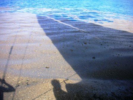 When This Boat Crew Realized What They Were Seeing, It Was Almost Too Late To Escape Alive! - AS THEY GOT CLOSER, WHAT THEY HAD TAKEN TO BE A SANDBAR REVEALED ITSELF TO BE SOMETHING ELSE ENTIRELY.