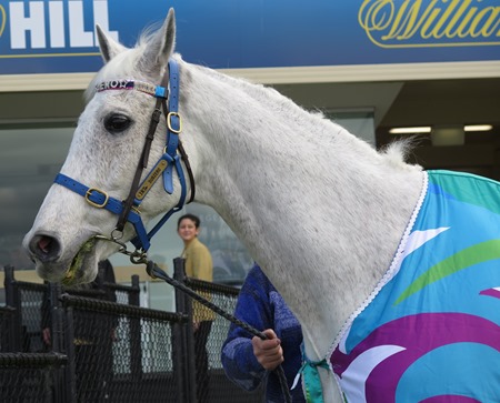 subzero 3