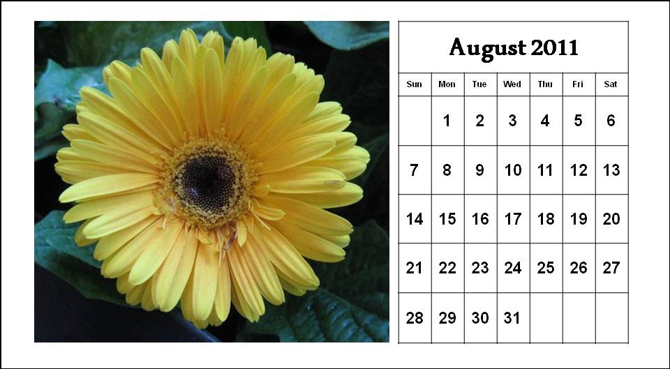 july august 2011 calendar. july august 2011 calendar. july august 2011 calendar.