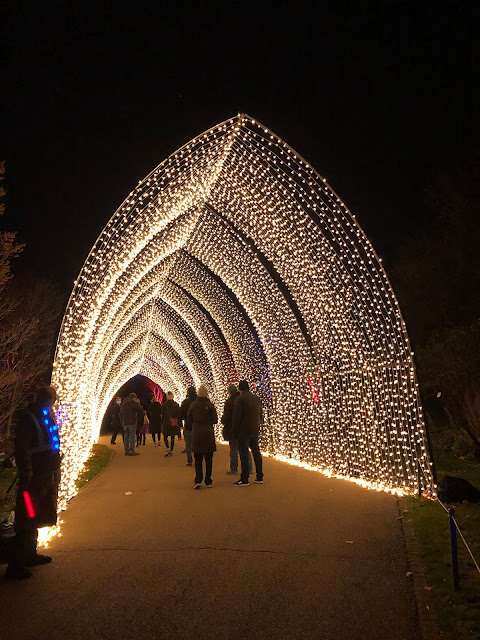 Guests amble through a tunnel of gold at Lightscape.