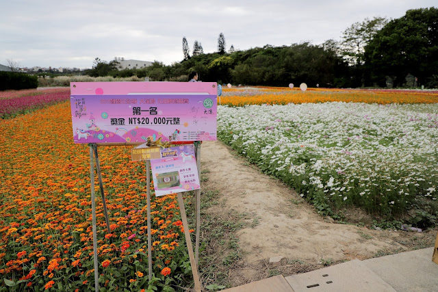 2020桃園花彩節 大溪區 月眉休閒農業區