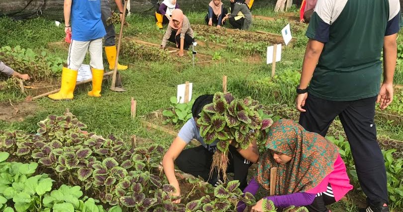 cara tetapkan harga jualan yang betul