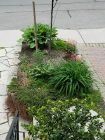 New front garden perennial bed in Wychwood before by Paul Jung Gardening Services--a Toronto Gardening Company
