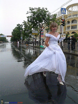 parade of brides