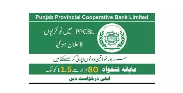 Punjab Provincial Cooperative Bank Jobs 2023 | PK24JOBS