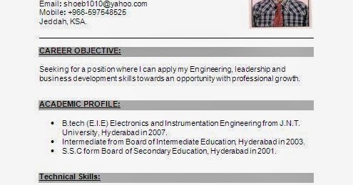 Controller Curriculum Vitae Sample Doc