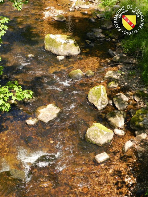 GERARDMER (88) - Le sentier écologique des Perles de la Vologne