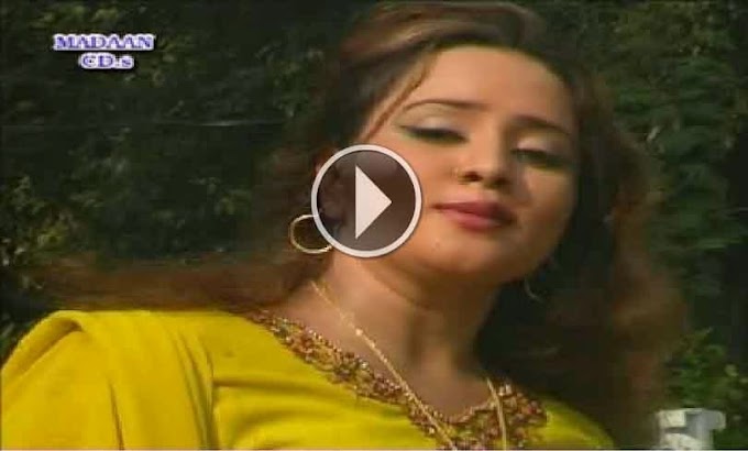 Pashto Album Maidan Hits Vol 8 Video 7