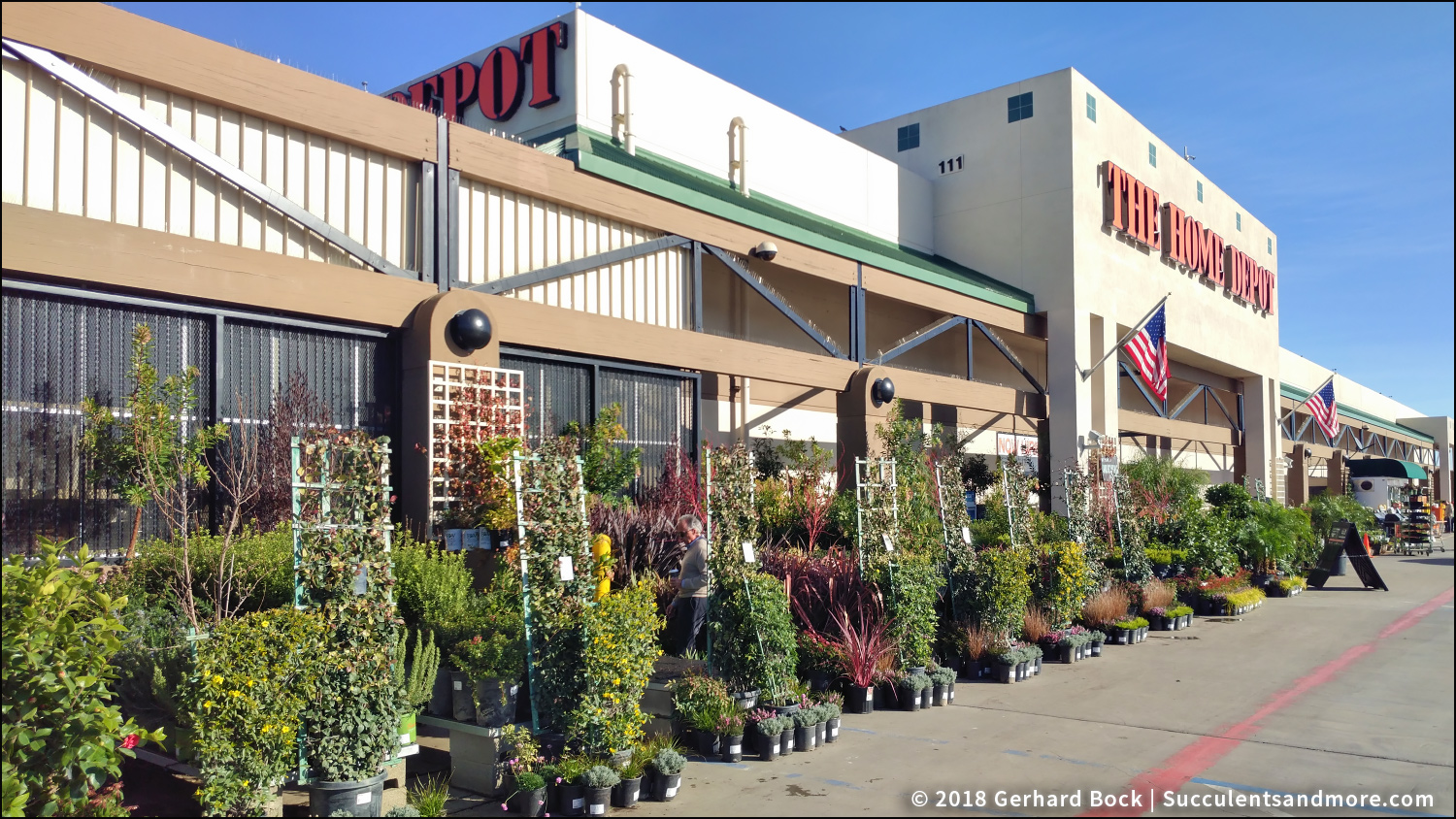 I Discovered A Great Nursery And It S A Home Depot