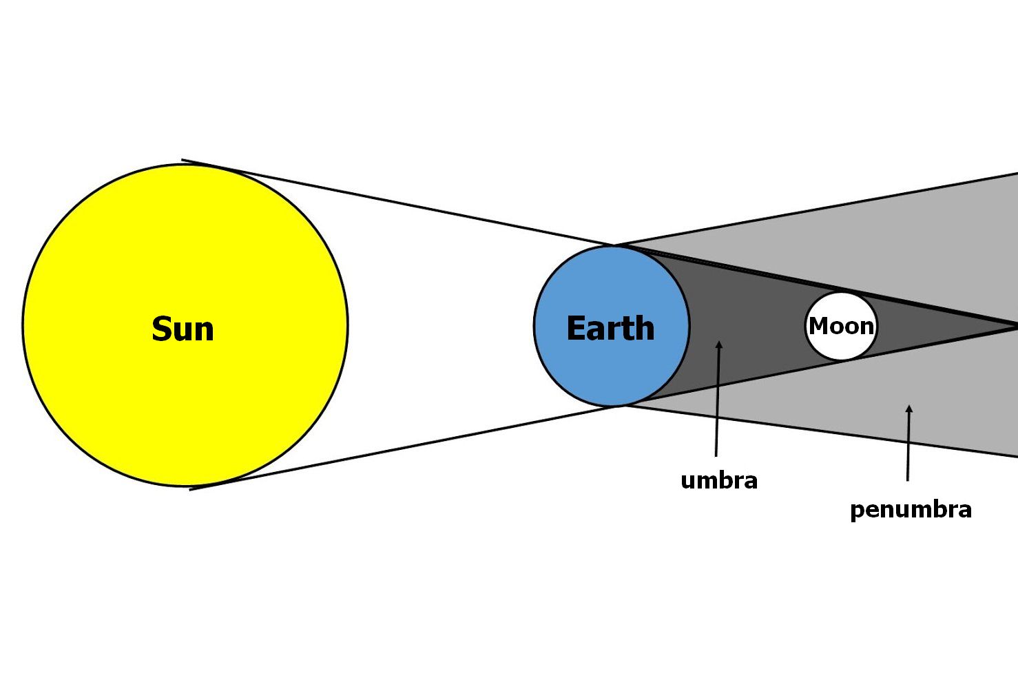 Birds of the Heath: Penumbral lunar eclipse