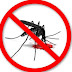 Dùng tinh dầu đuổi muỗi như thế nào cho hiệu quả?