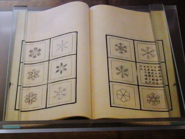 Libro abierto donde se ven 11 dibujos de copos de nieve.