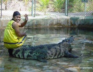 Crocodile Hunter [www.ritemail.blogspot.com]