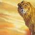 King of Jungle Lion Wallpaper