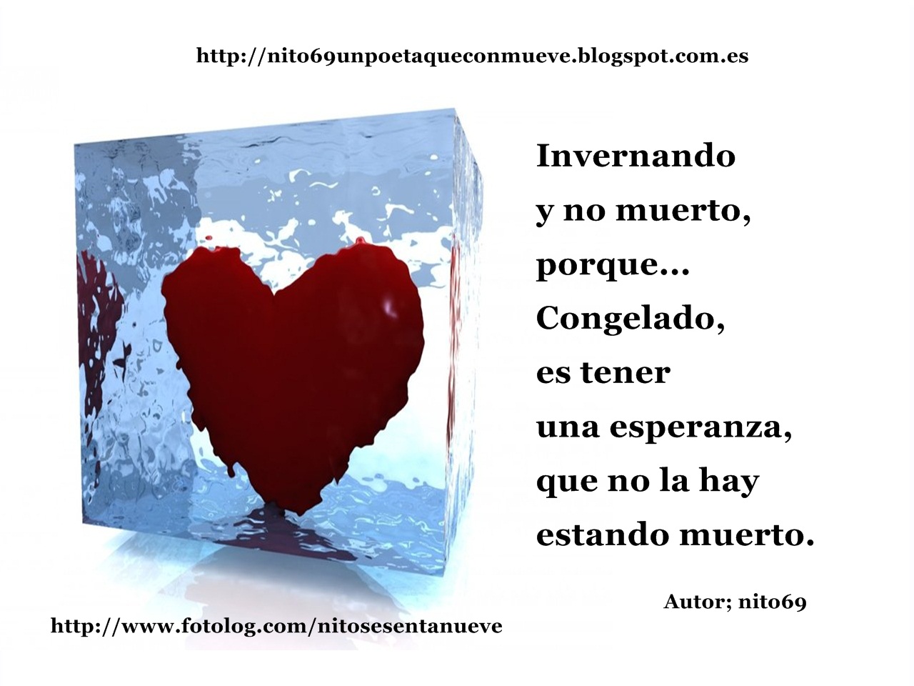 CONGELADO