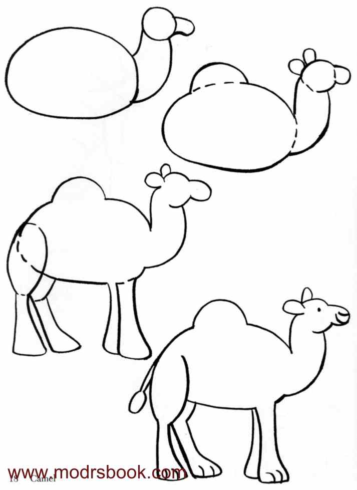 كيفية رسم الحيوانات خطوة بخطوة
