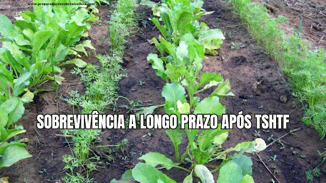 Sobrevivência a longo prazo