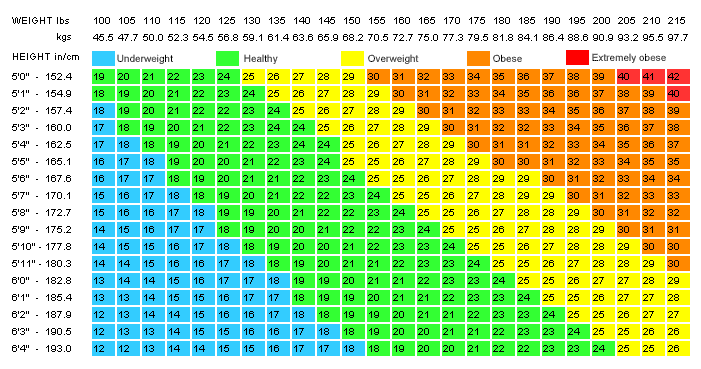 Indeks Jisim Badan (BMI)  Misi Ejen 010
