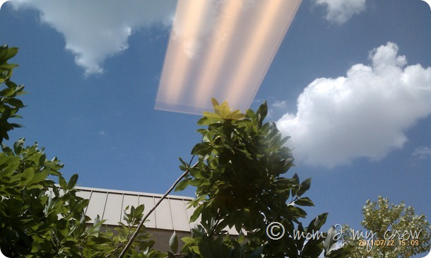 IMAG1209