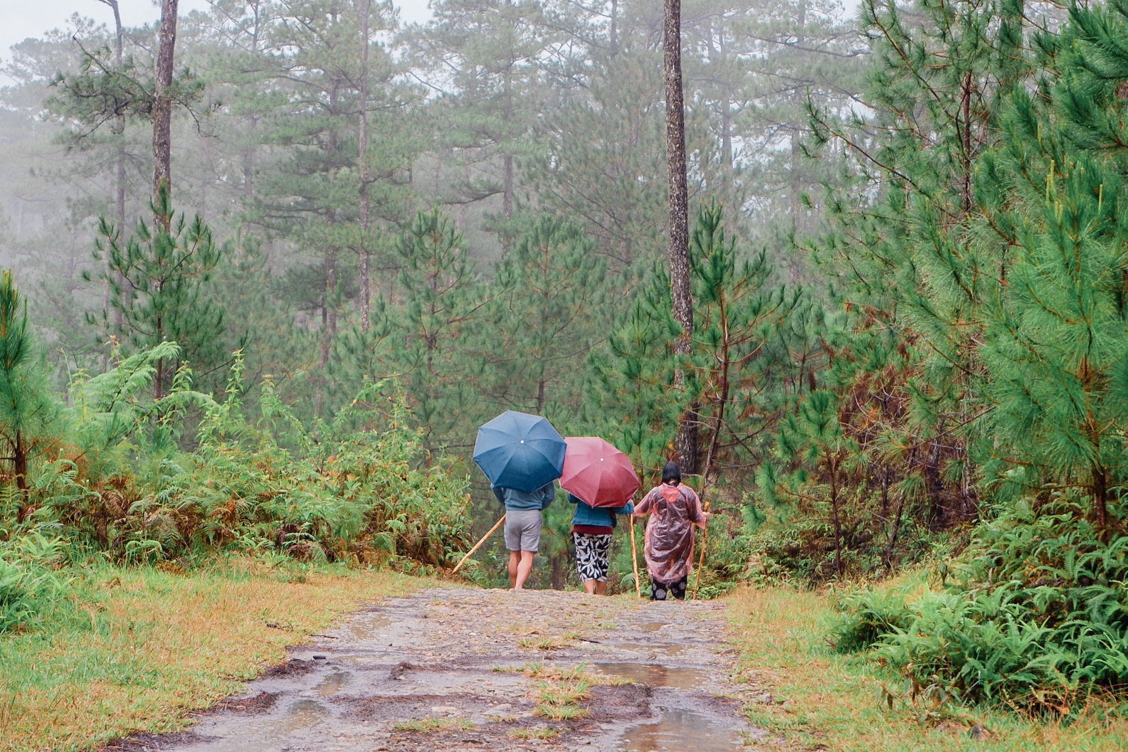 Marlboro Hills, The Unexpected 4N3D Baguio-Sagada Adventure