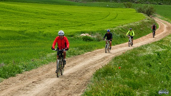 Ruta Madrid-Guadalajara-Madrid. Sábado 28 de marzo 2015. Nuestro tercer 'gran reto'