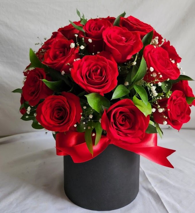 BOX DE 24 ROSAS ROJAS ELEGANTE S/189.00