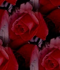 BackgroundsREDFLOWERS_ElTallerDeLaBrujaMar