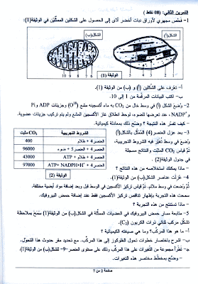 نمادج لمواضيع بكالوريا تجريبية 2014 في العلوم الطبيعية 