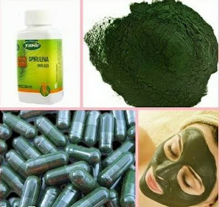 Harga Masker Spirulina Asli