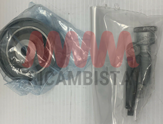 03G198119C Kit distribuzione e pompa Volkswagen