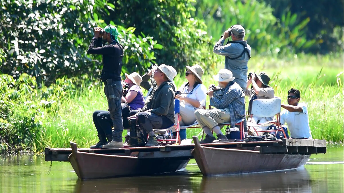 COCHA  SALVADOR MANU NATIONAL PARK