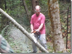 woodcutting 05