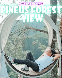 PINEUS FOREST VIEW CIROREK CILAWU, Tiket Masuk, Jam Buka, Lokasi Dan Aktivitas [Terbaru]