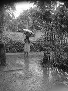 RAIN PHOTOS FROM KERALA